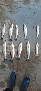 Hilton Head fishing charters made easy!